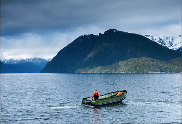 Our path to achieving sustainable salmon